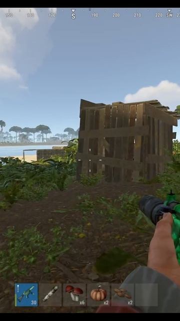 RUST