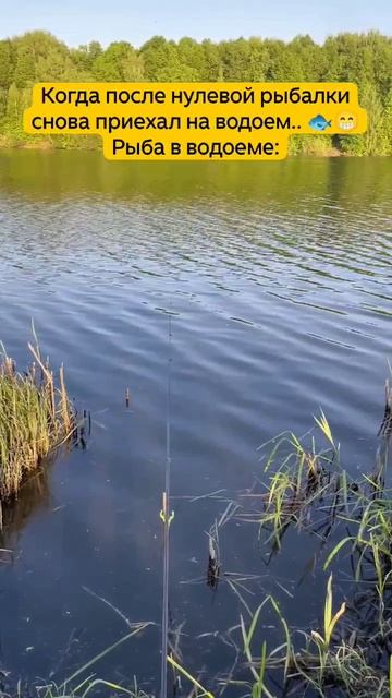 Тянет на рыбалку