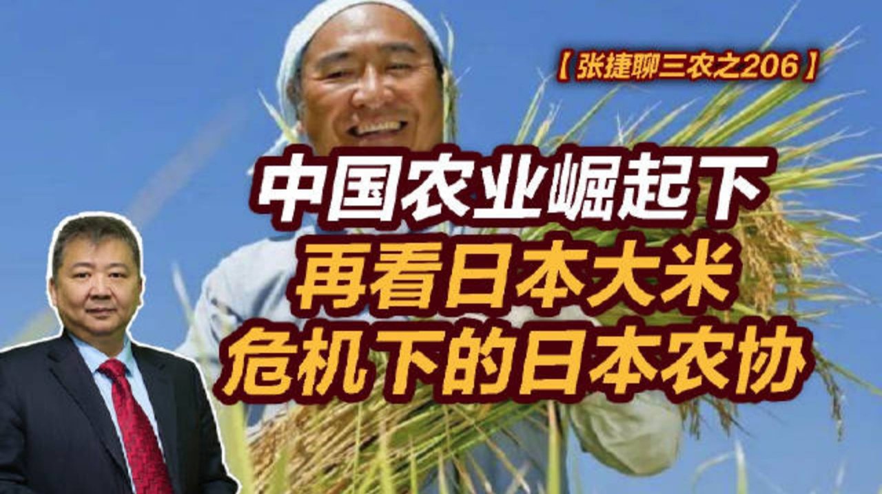 【张捷聊三农之206】中国农业崛起下看日本大米危机下日本农协