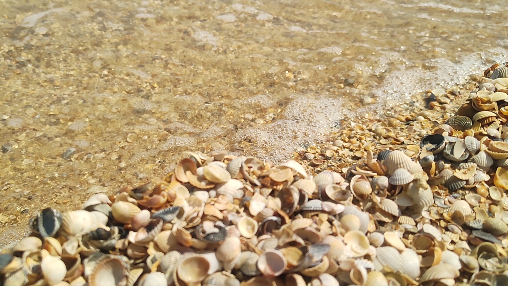 Релакс, Азовское море