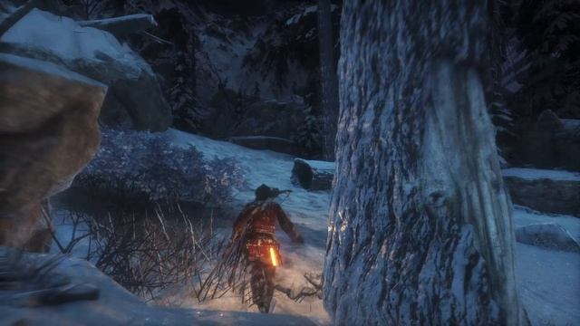 Какая обширная поляна - ROTTR #18