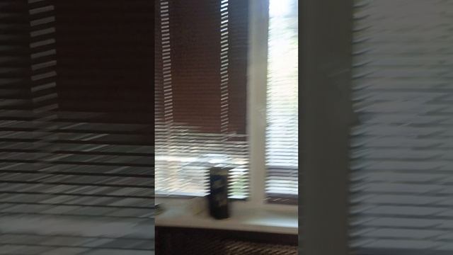 1000675432.mp4