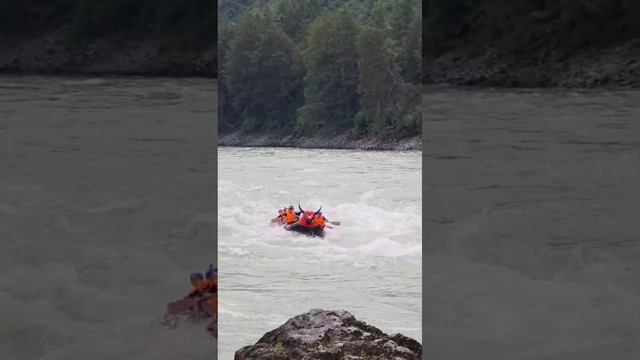 Рафт Бык от компании Планета Вода #планетавода