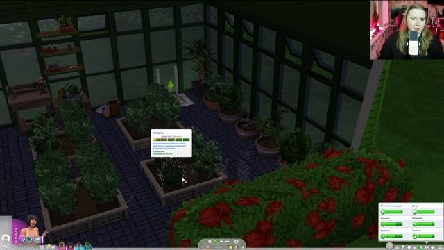 Готовим Амброзию в Sims 4