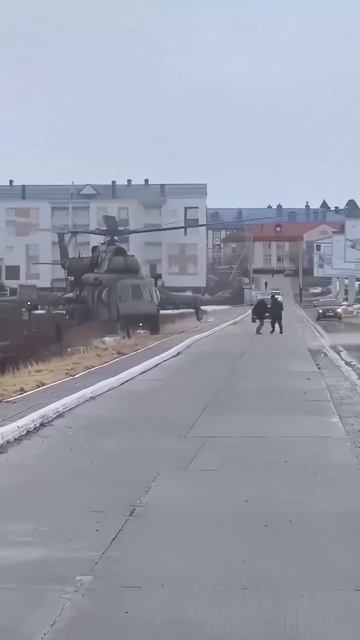 Ооооо, зеленоглазое таксиииии😁.