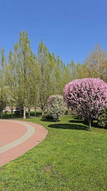 У спорткомплекса Светланы Хоркиной в Белгороде
