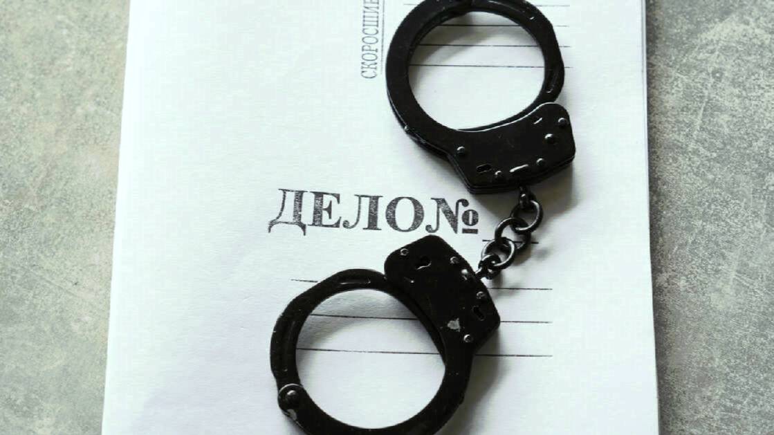Против участников инцидента на вокзале в Москве возбудили дело по двум статьям
