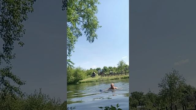 заплыв