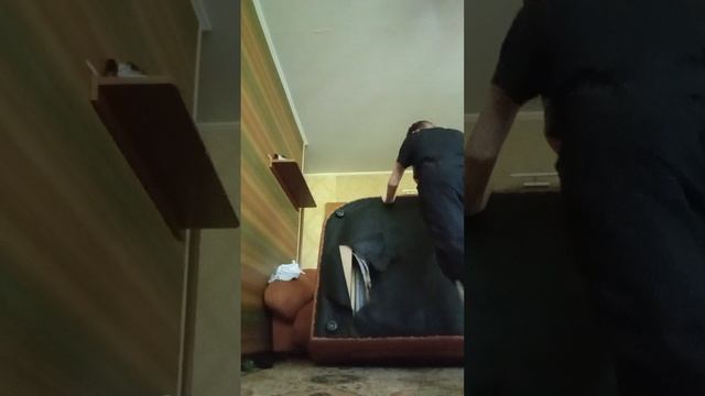 как быстро построить дом в доме