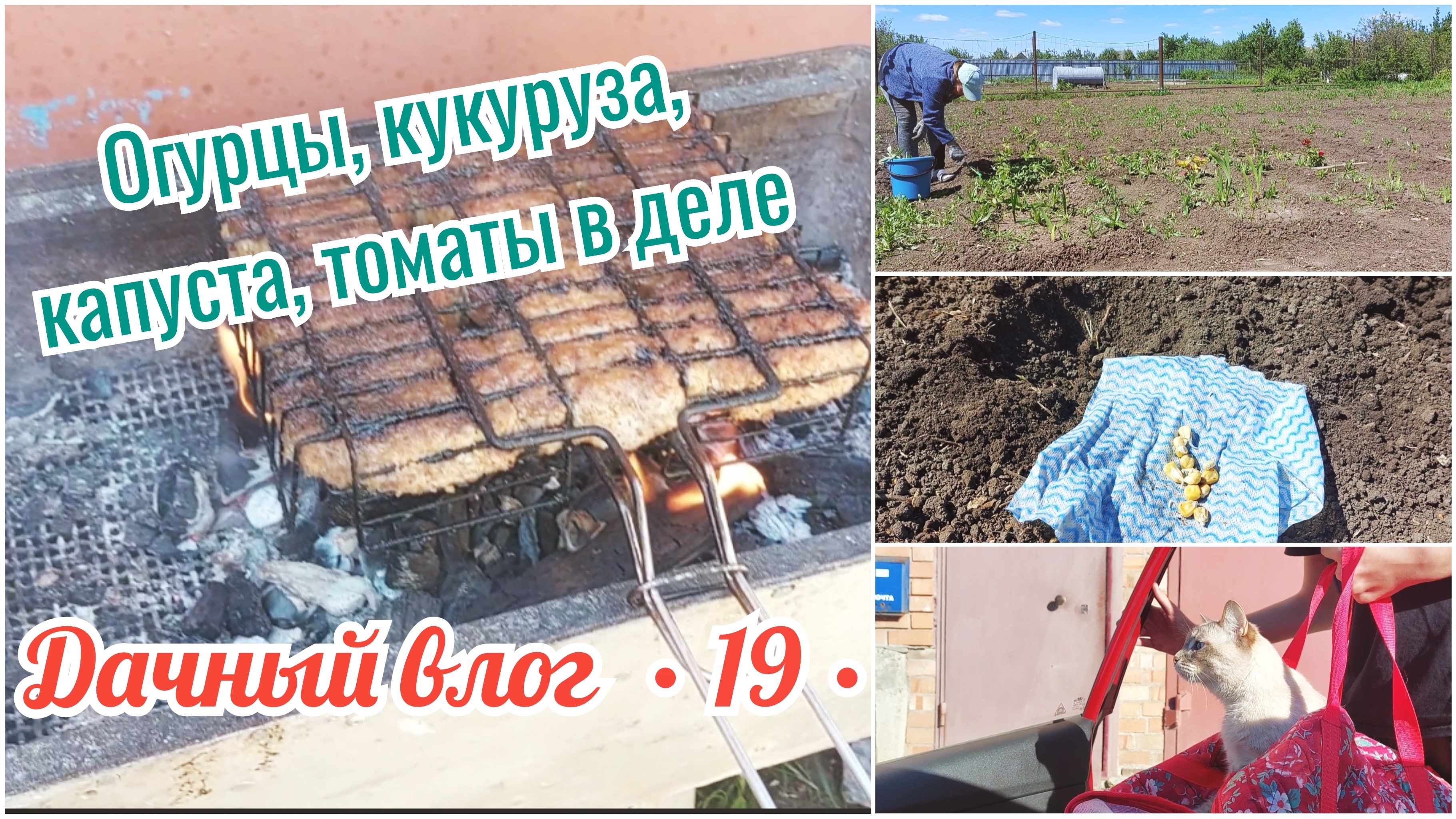 ЖАРЮ КОТЛЕТЫ НА ДАЧЕ 🏡 ПОСАДИЛА ОГУРЦЫ, КУКУРУЗУ, КАПУСТУ И ТОМАТЫ // ЗАПУСТИЛА НАСОС