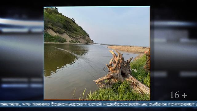 03.06.2025 114 незаконных орудий лова изъяли за неделю на территории области