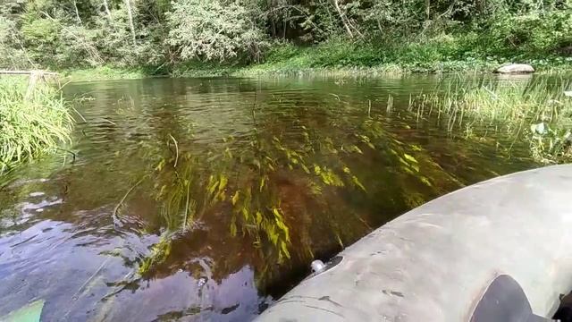 1000014246.mp4