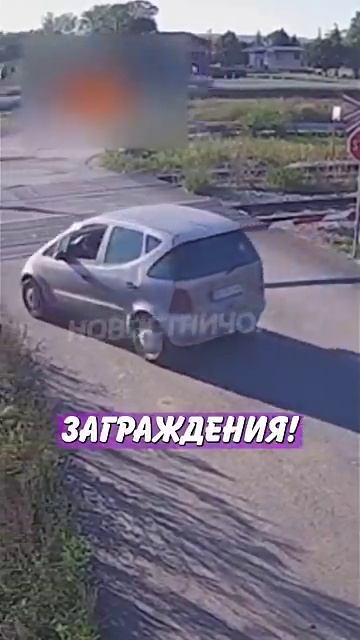 Новостничок (376)