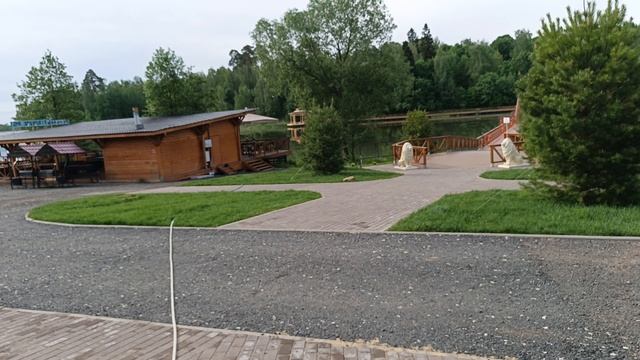 Магнолия