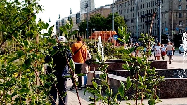 Санкт-Петербург сад