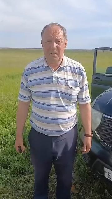 Депутат Курганской облдумы признался, что стал участником смертельного ДТП на трассе «Иртыш»