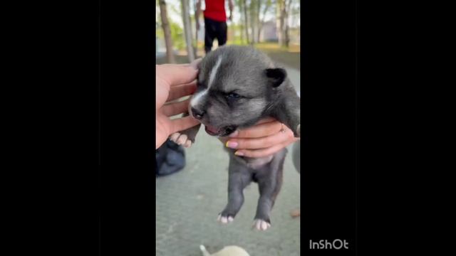 1000101149.mp4
