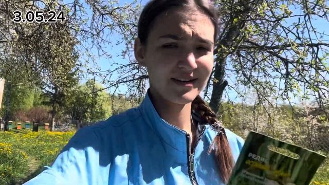 #39 Купили участок. Сначала убраться, а потом переодеть?
