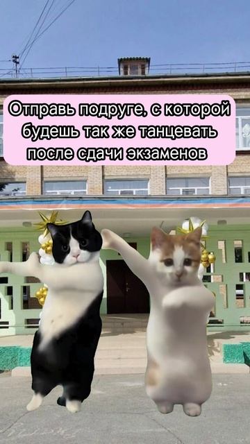 Уже совсем скоро потанцуем 😅