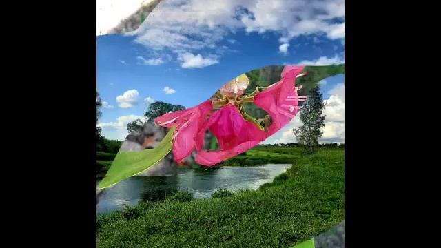 Прекрасное начало июня💚💕💛.mp4