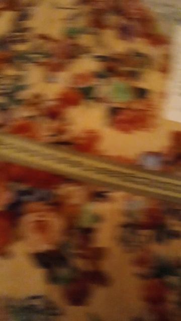 VID_20250604_023536