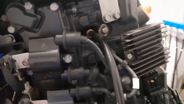 Yamaha F60