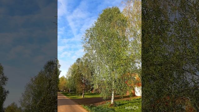 Прекрасный май!.mp4