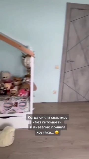Конспирация