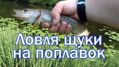 Как ловить щуку.Попловочная снасть на щуку своими руками
