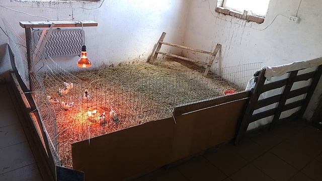 4 июня, новости в нашем хозяйстве