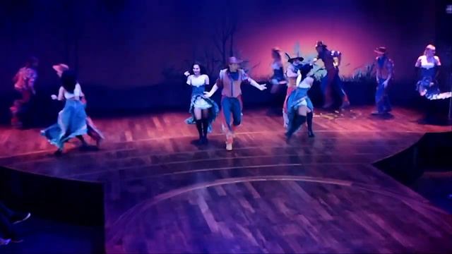 Тодес ковбои