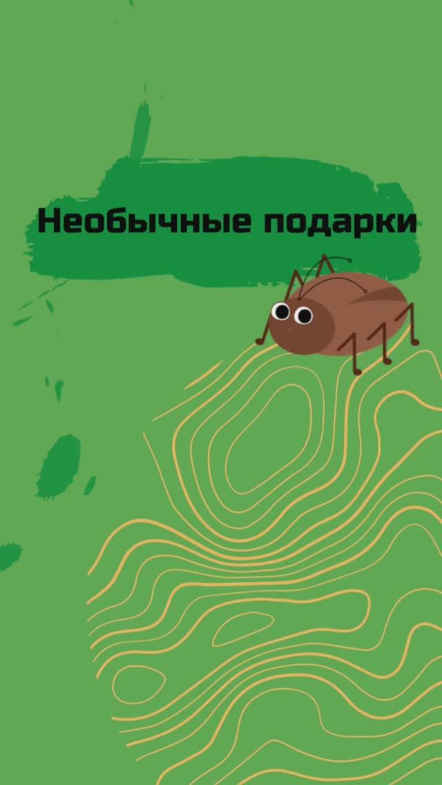 А знаете ли вы? Неожиданные подарки