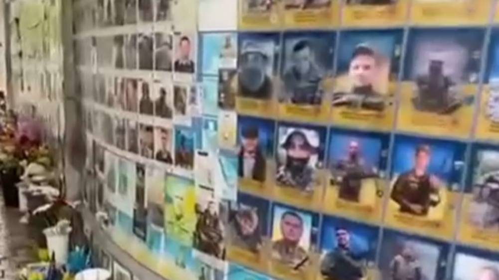 🔴Стена со скакунами🔴