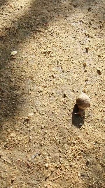 мир прекрасен 😍