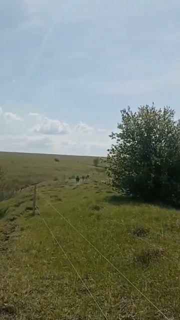 Абердины под солнцем