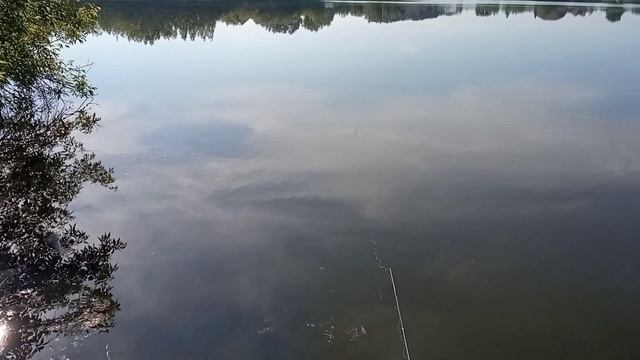 Рыбалка на небольшом Озере рядом с гнездом Андатры.
