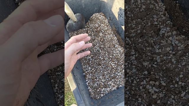 Опять про кактусный грунт