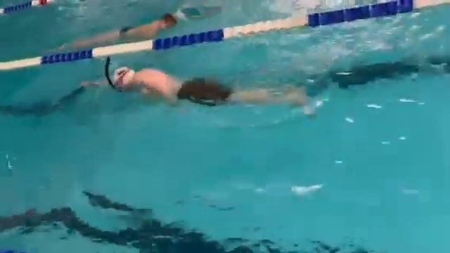 видео  DIMA 2 ух ударный кроль с трубочкой #swim #swimming #sports #sh