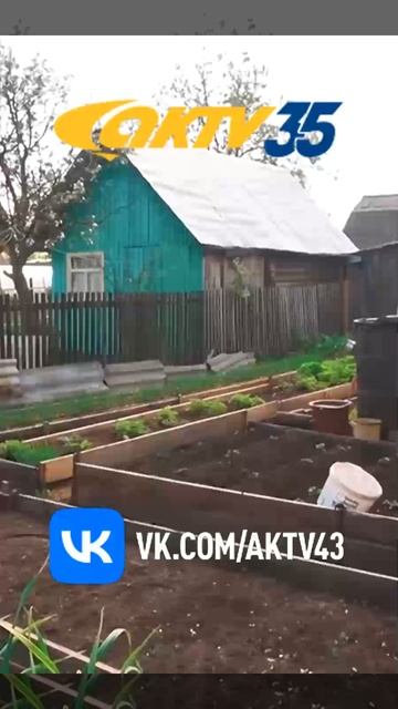 АКТВ Вести Shorts 03.06_0001