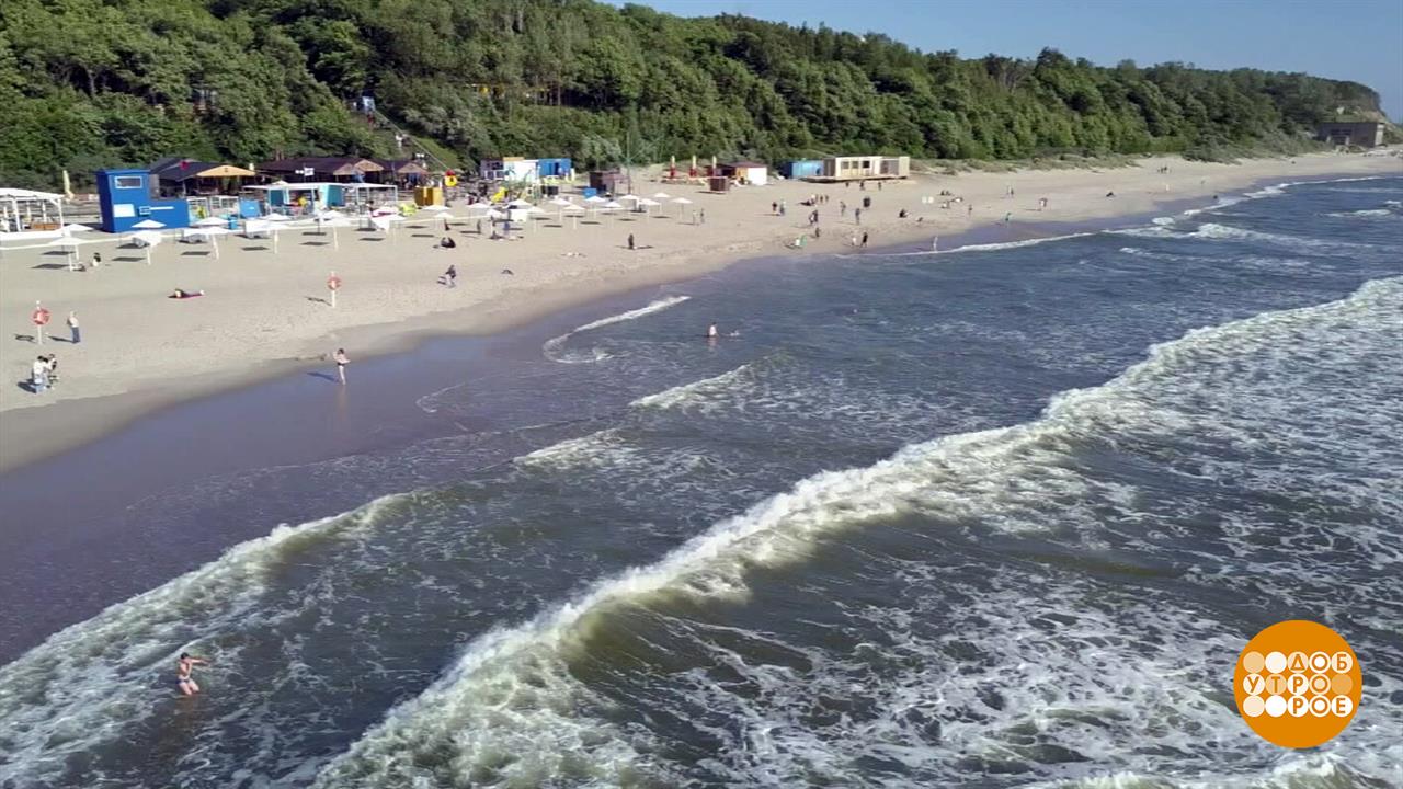 Погода шепчет: купаться рано... Доброе утро. Фрагмент выпуска от 04.06.2025