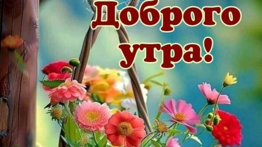 Доброе утро - Хорошего дня летнее настроение #отличнолетнегонастроения