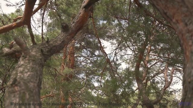 Горы поют, а океан подпевает - вы готовы - Not Listening -- Ketsa -- Equinox Rising