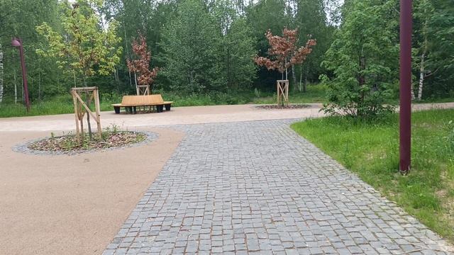 Магнолия
