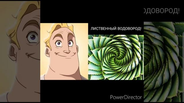 Самые отвратительные вещи: