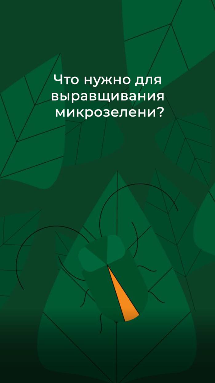 Что нужно для выравщивания микрозелени?