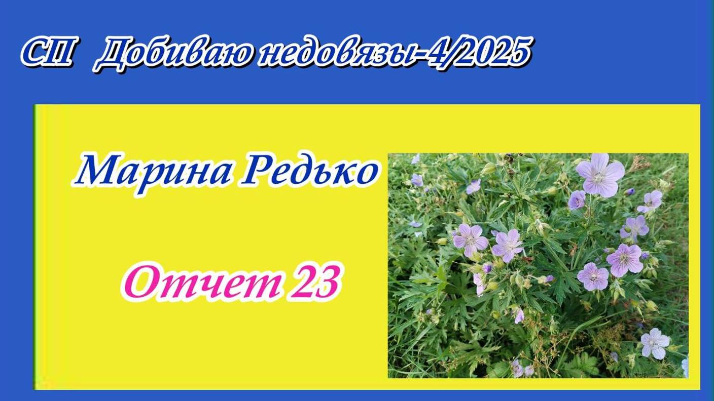 СП "Добиваю недовязы 4/2025" с Мариной Стоговой / Отчет 23