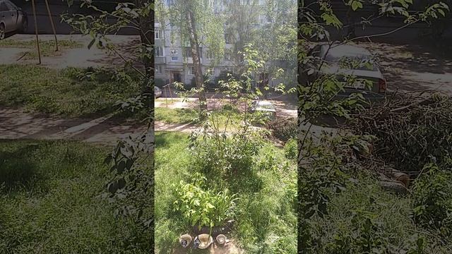 ТЕПЕРЬ ПУСТО КРУГОМ