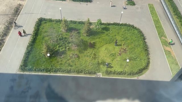 Обычный летний день
