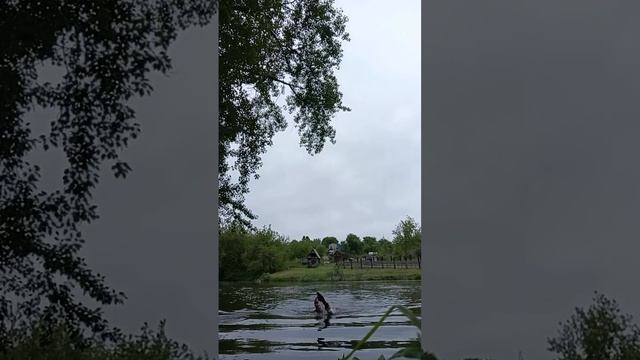 3 июня