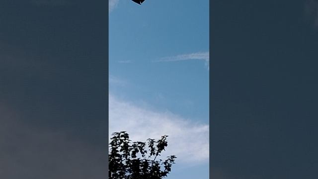 1000004103.mp4